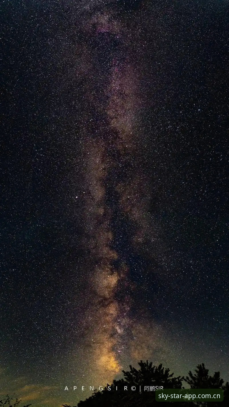 为什么星空官方登录总要在深夜折腾人？——一个用户与v2.0.5的角力现场